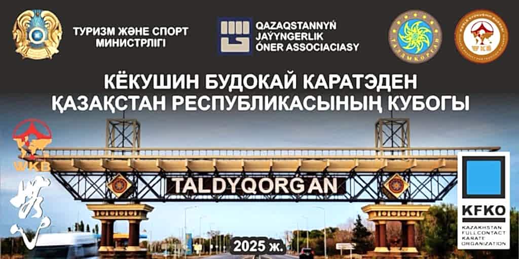 Кубок Республики Казахстан