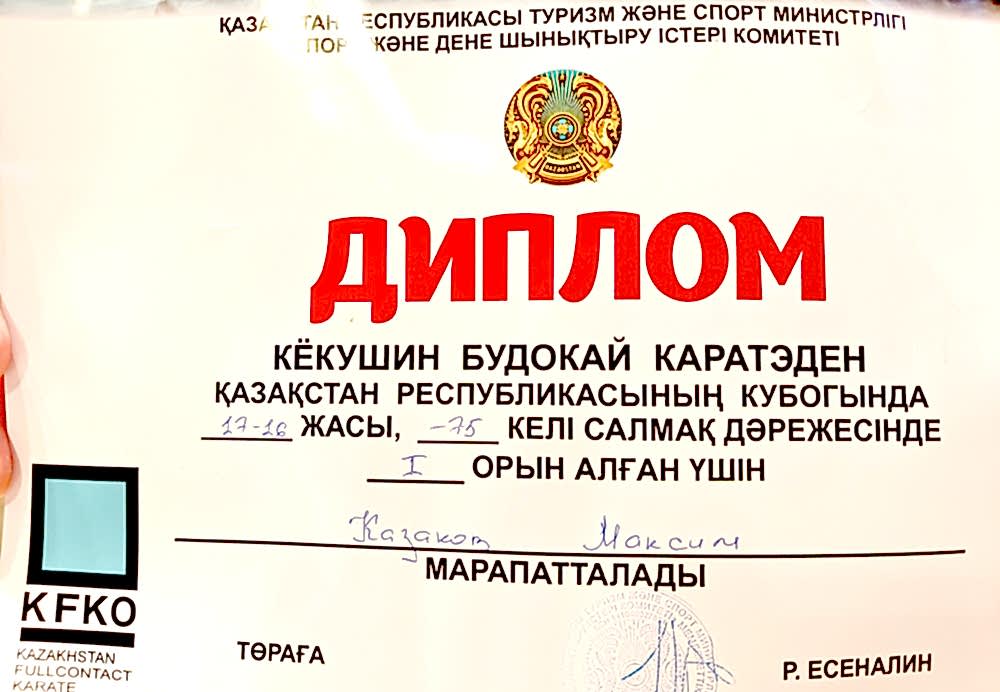 Каратэ в Алматы