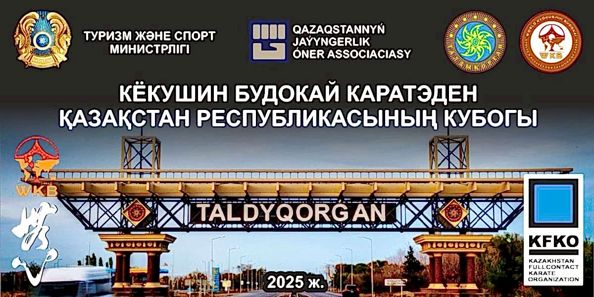 Кубок Казахстана 2025
